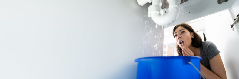 Plumbing Repair